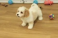 processed/478e0625-a61e-4667-8eb8-9f62e754dc14/listing/6854490f-eef3-4d31-803f-e92ac2ef1036/5a64d577-a8b9-429b-8bc9-45e2a6738e66