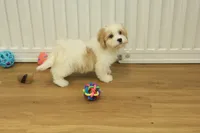 processed/478e0625-a61e-4667-8eb8-9f62e754dc14/listing/6854490f-eef3-4d31-803f-e92ac2ef1036/cbef0e07-c48e-41d8-b34d-dbf2327efadf