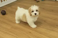 processed/478e0625-a61e-4667-8eb8-9f62e754dc14/listing/6854490f-eef3-4d31-803f-e92ac2ef1036/ed32dd88-ba15-4d4e-bf16-526f95bdc8d0