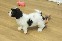 processed/478e0625-a61e-4667-8eb8-9f62e754dc14/listing/69c977f5-d75f-4035-9445-873dc433dd4b/02883651-5d3d-4b66-a3c6-9615983051a5