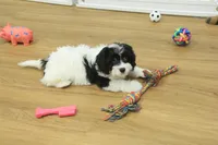 processed/478e0625-a61e-4667-8eb8-9f62e754dc14/listing/69c977f5-d75f-4035-9445-873dc433dd4b/2dc37531-db6e-4b8b-bdf4-56810fef4e26