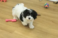 processed/478e0625-a61e-4667-8eb8-9f62e754dc14/listing/69c977f5-d75f-4035-9445-873dc433dd4b/78138752-8bdf-4305-a57d-cbb0b27a027d