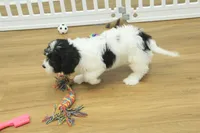 processed/478e0625-a61e-4667-8eb8-9f62e754dc14/listing/69c977f5-d75f-4035-9445-873dc433dd4b/9eee56e0-d444-4077-8e3c-bf84e93881cf