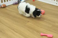 processed/478e0625-a61e-4667-8eb8-9f62e754dc14/listing/69c977f5-d75f-4035-9445-873dc433dd4b/c508c6f1-9e52-4e06-b39a-fbfbbedc57fc