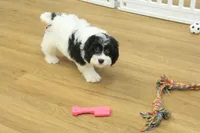 processed/478e0625-a61e-4667-8eb8-9f62e754dc14/listing/69c977f5-d75f-4035-9445-873dc433dd4b/cf04cbd1-7910-4055-898b-1fca7a872358