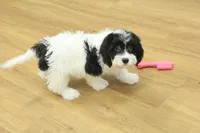 processed/478e0625-a61e-4667-8eb8-9f62e754dc14/listing/69c977f5-d75f-4035-9445-873dc433dd4b/f1336b4b-51ee-4ade-b87d-0ff8e60d1c87