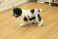 processed/478e0625-a61e-4667-8eb8-9f62e754dc14/listing/79a04184-128e-43f5-907f-5f2e78212cf4/0d5cb5c8-6bed-4766-a3cc-ceede3cc1157