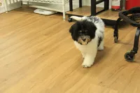 processed/478e0625-a61e-4667-8eb8-9f62e754dc14/listing/79a04184-128e-43f5-907f-5f2e78212cf4/3db63a17-c738-45ad-be59-8ae940c50769