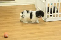 processed/478e0625-a61e-4667-8eb8-9f62e754dc14/listing/79a04184-128e-43f5-907f-5f2e78212cf4/3e6bb3c4-691d-418c-93cf-5aaba68b19be