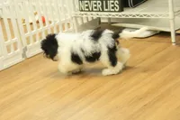 processed/478e0625-a61e-4667-8eb8-9f62e754dc14/listing/79a04184-128e-43f5-907f-5f2e78212cf4/540d8154-13ab-4dd7-9bf0-fe982d7a972c