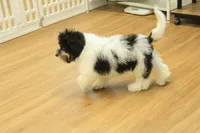 processed/478e0625-a61e-4667-8eb8-9f62e754dc14/listing/79a04184-128e-43f5-907f-5f2e78212cf4/67f601c7-880b-417e-8cc7-60354e0579ae