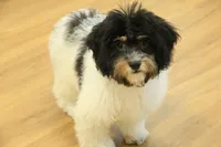 processed/478e0625-a61e-4667-8eb8-9f62e754dc14/listing/79a04184-128e-43f5-907f-5f2e78212cf4/8caf2e09-e05a-4fa7-99c6-5cf257e44c28