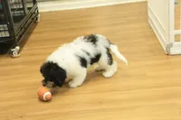 processed/478e0625-a61e-4667-8eb8-9f62e754dc14/listing/79a04184-128e-43f5-907f-5f2e78212cf4/b036f209-5e8c-4361-b2b4-4d945a7a766d