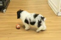 processed/478e0625-a61e-4667-8eb8-9f62e754dc14/listing/79a04184-128e-43f5-907f-5f2e78212cf4/d87f7088-8ec8-4b80-9a43-de7d57dace52