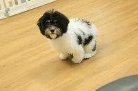 processed/478e0625-a61e-4667-8eb8-9f62e754dc14/listing/79a04184-128e-43f5-907f-5f2e78212cf4/e410d8c8-0d5d-4147-ac75-6ac39e97a81e