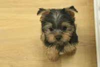 processed/478e0625-a61e-4667-8eb8-9f62e754dc14/listing/88675eb0-0f70-4538-a4bc-a93f5bd22636/5e0f767c-2d4f-4080-82b8-7b6f7a1de57e