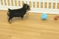 processed/478e0625-a61e-4667-8eb8-9f62e754dc14/listing/88675eb0-0f70-4538-a4bc-a93f5bd22636/6e11520a-826d-413e-9e5f-0f3fbcd4b9e5