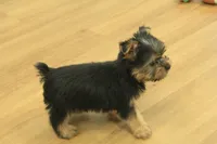 processed/478e0625-a61e-4667-8eb8-9f62e754dc14/listing/88675eb0-0f70-4538-a4bc-a93f5bd22636/79f321d6-54a5-4ffd-92b7-076d00c15caa