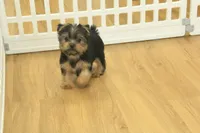 processed/478e0625-a61e-4667-8eb8-9f62e754dc14/listing/88675eb0-0f70-4538-a4bc-a93f5bd22636/80bc2542-031c-4ed7-ad2f-6515662993ea