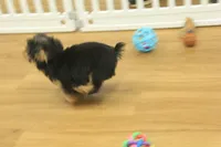 processed/478e0625-a61e-4667-8eb8-9f62e754dc14/listing/88675eb0-0f70-4538-a4bc-a93f5bd22636/b530124c-e26c-494b-b979-b0d03b155881