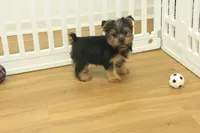 processed/478e0625-a61e-4667-8eb8-9f62e754dc14/listing/88675eb0-0f70-4538-a4bc-a93f5bd22636/dd60acb2-f2b2-4a6e-88ff-ff0ceee4d4e6