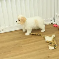 Snickers, a female Cavachon for sale in Hickory, NC – Photo 2 of 6