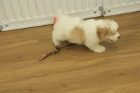 processed/478e0625-a61e-4667-8eb8-9f62e754dc14/listing/c8dcbc8f-4cb0-4b46-83fe-51d227c5c780/3a24129c-2d24-40d4-b922-a97123e6cbeb