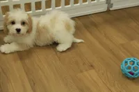 processed/478e0625-a61e-4667-8eb8-9f62e754dc14/listing/c8dcbc8f-4cb0-4b46-83fe-51d227c5c780/3a3f674b-c643-4039-9705-8657d5177f42