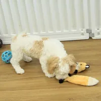 Sam Neutered, a male Cavachon for sale in Hickory, NC – Photo 6 of 10