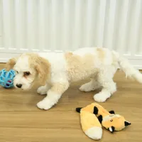 Sam Neutered, a male Cavachon for sale in Hickory, NC – Photo 5 of 10