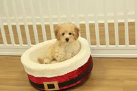 processed/478e0625-a61e-4667-8eb8-9f62e754dc14/listing/cdcd4ac6-806c-45e5-bc2b-ac690948d067/203f020e-2322-4812-acd3-62b8dfc552fd