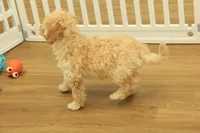 processed/478e0625-a61e-4667-8eb8-9f62e754dc14/listing/cdcd4ac6-806c-45e5-bc2b-ac690948d067/2bc70c1e-92af-4d3a-87ee-14bf4485b51b