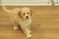 processed/478e0625-a61e-4667-8eb8-9f62e754dc14/listing/cdcd4ac6-806c-45e5-bc2b-ac690948d067/8aa62ac5-0158-422e-b2fb-9c1b335257f9