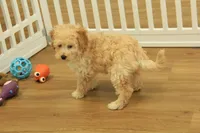 processed/478e0625-a61e-4667-8eb8-9f62e754dc14/listing/cdcd4ac6-806c-45e5-bc2b-ac690948d067/a675bf7c-f4f8-472c-a85c-d425c730e314