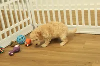 processed/478e0625-a61e-4667-8eb8-9f62e754dc14/listing/cdcd4ac6-806c-45e5-bc2b-ac690948d067/bfb2ac22-6799-47b5-a9b6-d99f96608f52