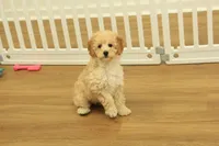 processed/478e0625-a61e-4667-8eb8-9f62e754dc14/listing/cdcd4ac6-806c-45e5-bc2b-ac690948d067/c9e448b5-c781-4589-8114-52ac20e94872