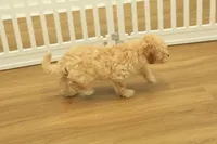 processed/478e0625-a61e-4667-8eb8-9f62e754dc14/listing/cdcd4ac6-806c-45e5-bc2b-ac690948d067/d61a7602-22c8-4895-af73-a7c588516559