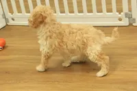 processed/478e0625-a61e-4667-8eb8-9f62e754dc14/listing/cdcd4ac6-806c-45e5-bc2b-ac690948d067/ef0c33bf-9940-4d84-aac0-6da4dc4d399c