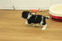 processed/478e0625-a61e-4667-8eb8-9f62e754dc14/listing/daf88a84-ed3d-463e-a67c-874527ee1615/3d1b023f-46d3-4285-9f50-712acc37d93a