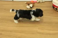 processed/478e0625-a61e-4667-8eb8-9f62e754dc14/listing/daf88a84-ed3d-463e-a67c-874527ee1615/56e132e9-b40f-4e6e-bd66-ab72ce33e1a0