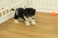 processed/478e0625-a61e-4667-8eb8-9f62e754dc14/listing/daf88a84-ed3d-463e-a67c-874527ee1615/780649bd-9658-4461-8b2e-34b8cd06dfcf