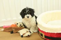 processed/478e0625-a61e-4667-8eb8-9f62e754dc14/listing/daf88a84-ed3d-463e-a67c-874527ee1615/906a73eb-c01f-4f99-872a-0d971fc0fa44