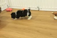 processed/478e0625-a61e-4667-8eb8-9f62e754dc14/listing/daf88a84-ed3d-463e-a67c-874527ee1615/cd7970cb-6fc7-4085-b1f3-972c59d4a7f6