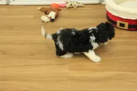 processed/478e0625-a61e-4667-8eb8-9f62e754dc14/listing/daf88a84-ed3d-463e-a67c-874527ee1615/dcbe0038-49a4-4cde-bfcb-b176ef54afe2