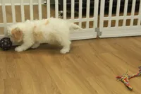 processed/478e0625-a61e-4667-8eb8-9f62e754dc14/listing/ddd41dfb-67f8-4d36-bed5-da4280170735/46396e9e-1c13-4118-9079-f51e03f0e0c3