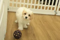 processed/478e0625-a61e-4667-8eb8-9f62e754dc14/listing/ddd41dfb-67f8-4d36-bed5-da4280170735/49ef14f2-7a86-4f93-9742-9a6771775c8e