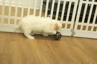 processed/478e0625-a61e-4667-8eb8-9f62e754dc14/listing/ddd41dfb-67f8-4d36-bed5-da4280170735/cb7af34f-3a25-463c-a97c-97b1e7c0a1a6