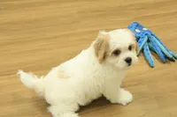 processed/478e0625-a61e-4667-8eb8-9f62e754dc14/listing/e77b8ed1-eaba-4e69-91e9-c57f18db1c91/28109ae6-3224-42c1-97fd-efa030b01366