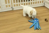 processed/478e0625-a61e-4667-8eb8-9f62e754dc14/listing/e77b8ed1-eaba-4e69-91e9-c57f18db1c91/64e04f8b-e4a4-4196-85db-1921f03d47ee