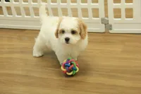 processed/478e0625-a61e-4667-8eb8-9f62e754dc14/listing/e77b8ed1-eaba-4e69-91e9-c57f18db1c91/70df8eb4-2eca-49b7-b89d-3f03b730594d